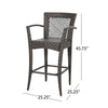 Fela Outdoor Barstool Chair Set of 2 | Wicker Woven | Brown Iron Frame