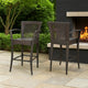 Fela Outdoor Barstool Chair Set of 2 | Wicker Woven | Brown Iron Frame