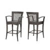 Fela Outdoor Barstool Chair Set of 2 | Wicker Woven | Brown Iron Frame