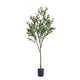 Vina Artificial Olive Tree, Realistic Green Silk Leaves, 71"