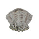 Coastal Clam Shell Planter w Coral Accents | Weathered Gray Terracotta