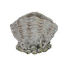 Coastal Clam Shell Planter w Coral Accents | Weathered Gray Terracotta