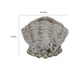 Coastal Clam Shell Planter w Coral Accents | Weathered Gray Terracotta BM335556