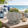 Coastal Clam Shell Planter w Coral Accents | Weathered Gray Terracotta