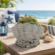 Coastal Clam Shell Planter w Coral Accents | Weathered Gray Terracotta