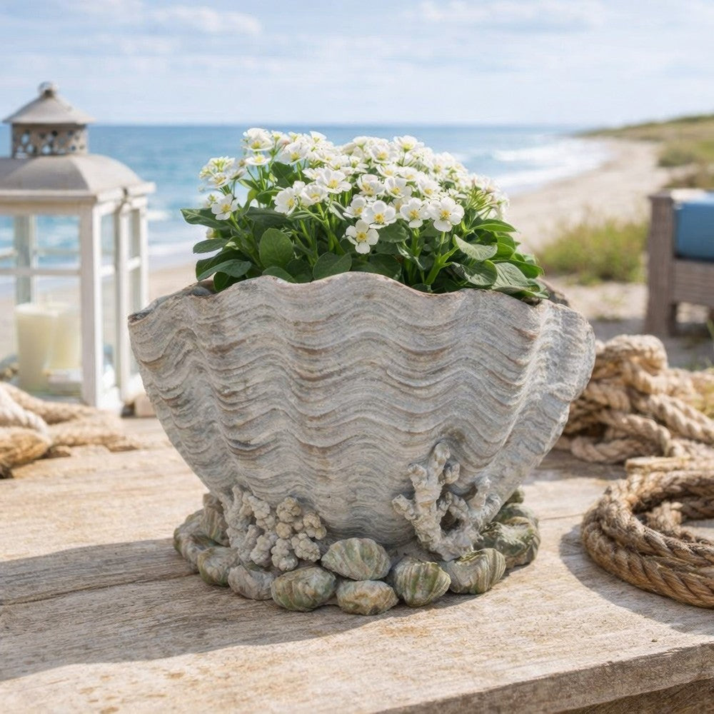 Coastal Clam Shell Planter w Coral Accents | Weathered Gray Terracotta