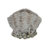 Coastal Clam Shell Planter w Coral Accents | Weathered Gray Terracotta