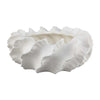 Velz Decorative Planter | 16" Wavy Edge | Matte White Ceramic