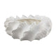 Velz Decorative Planter | 16" Wavy Edge | Matte White Ceramic
