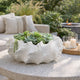 Velz Decorative Planter | 16" Wavy Edge | Matte White Ceramic