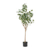 Zylo Faux Tree Eucolites Plant | 59" | Green Polyester