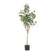 Zylo Faux Tree Eucolites Plant | 59" | Green Polyester