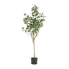 Zylo Faux Tree Eucolites Plant | 59’’ | Green Polyester BM335721