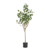 Zylo Faux Tree Eucolites Plant | 59" | Green Polyester