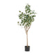 Zylo Faux Tree Eucolites Plant | 59" | Green Polyester