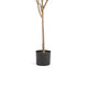 Zylo Faux Tree Eucolites Plant | 59" | Green Polyester