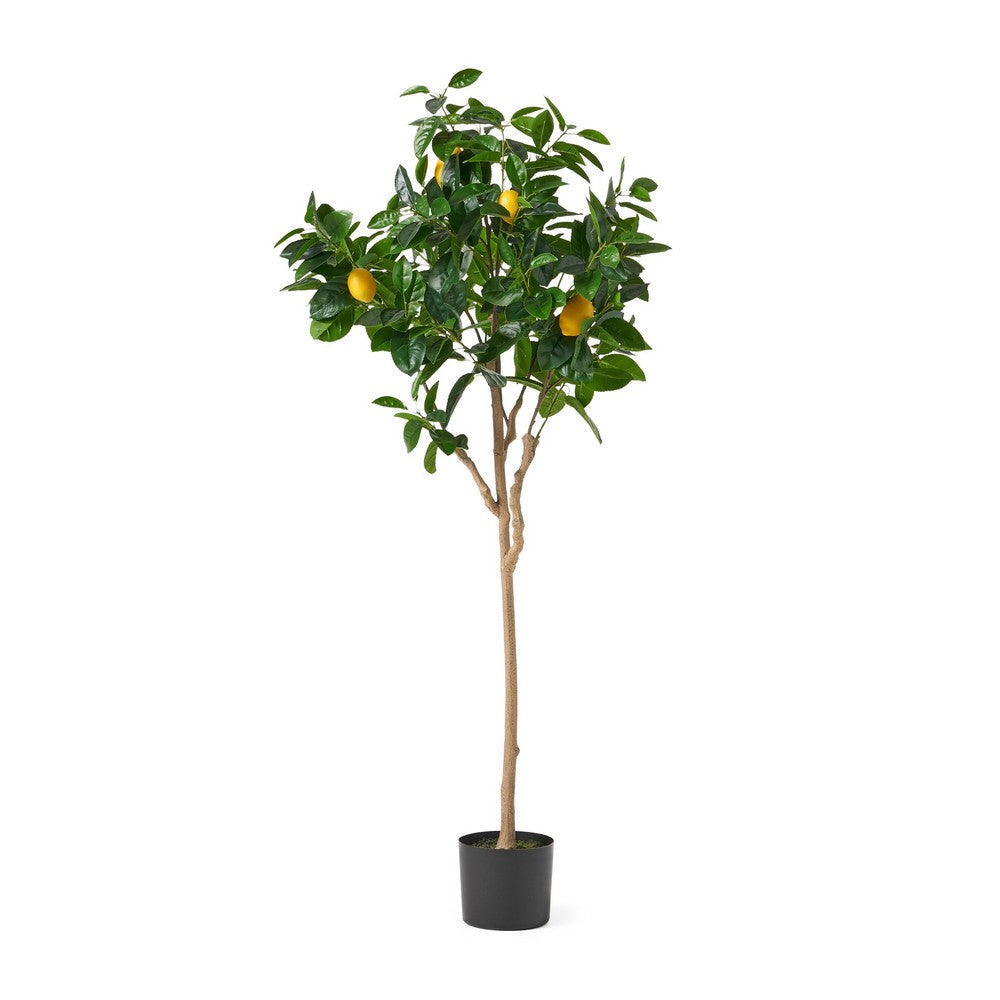 Zylo Decorative Faux Lemon Tree | 59"