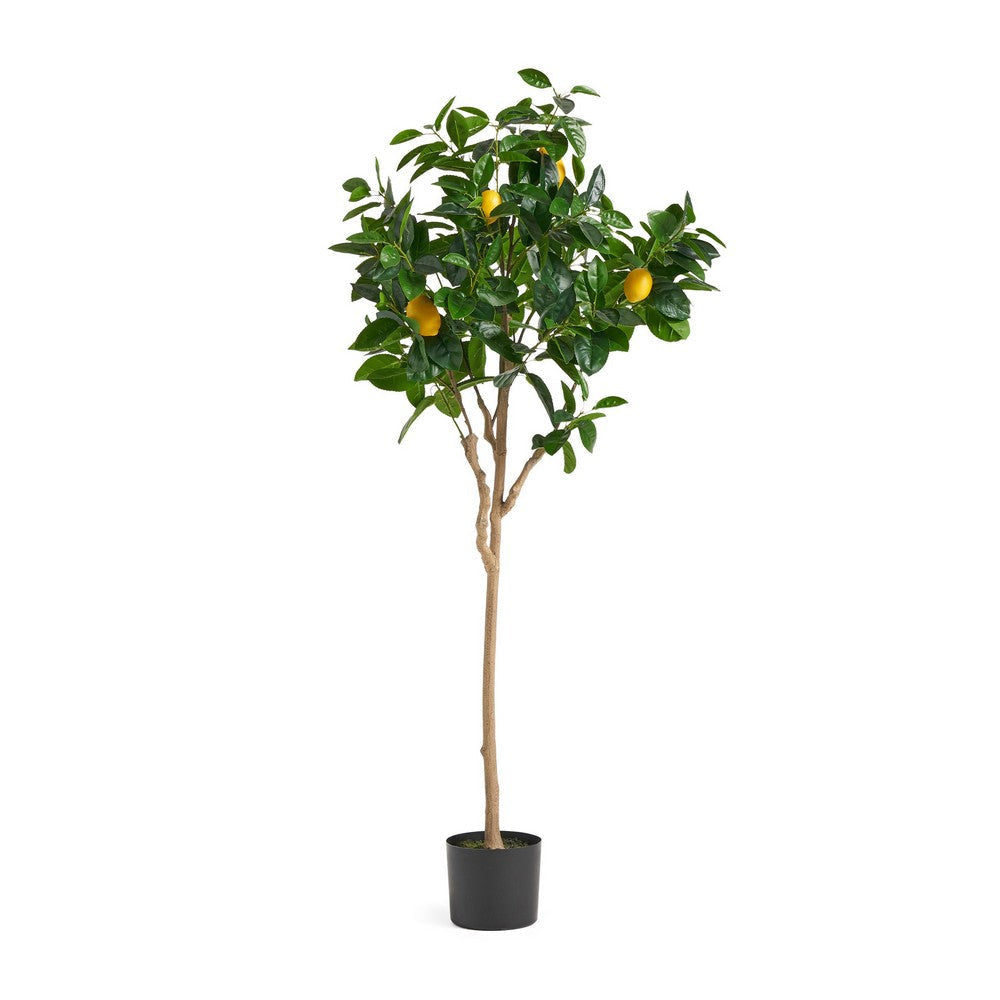 Zylo Decorative Faux Lemon Tree | 59’’ BM335725