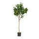 Zylo Decorative Faux Lemon Tree | 59’’ BM335725