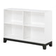 Thiem Bookcase | 4 Cube Shelves | White | Black Veneer | 43’’ BM335962