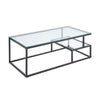 Elena Coffee Table | 2-Tier Design | Glass Top and Shelf | Black Metal BM336348