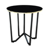 Amyra 3pc Occasional Coffee and End Table Set | Black Glass | Gold BM336355