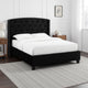 Elle Queen Bed | Tufted Wingback Headboard | Black Velvet Upholstery