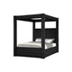 Beli Queen Size Canopy Bed | Tufted Design | Black Velvet Upholstery