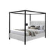 Keri Queen Canopy Bed | Black Slatted Wood Frame | White Upholstery