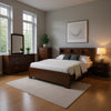 Bela 5 Piece Queen Bedroom Set | Bookcase Headboard | Dark Brown Wood