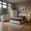 Dex 5pc Queen Bedroom Set with Modern LED Headboard | Mirror | White