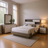 Fene 4pc Queen Bedroom Set | Gray | Brown | Headboard Bookcase