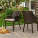 Ellish Outdoor Chair Set of 2 | Metal Legs | Brown Rattan Beige Fabric