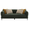Dija 2pc Sofa Set w/ 7 Throw Pillows | Slim Metal Legs | Green Chenille BM337787