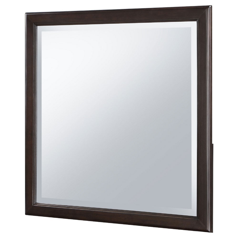 Amber Dresser Mirror | Brown Wood Frame | Beveled Mirror Glass | 38’’ BM337943
