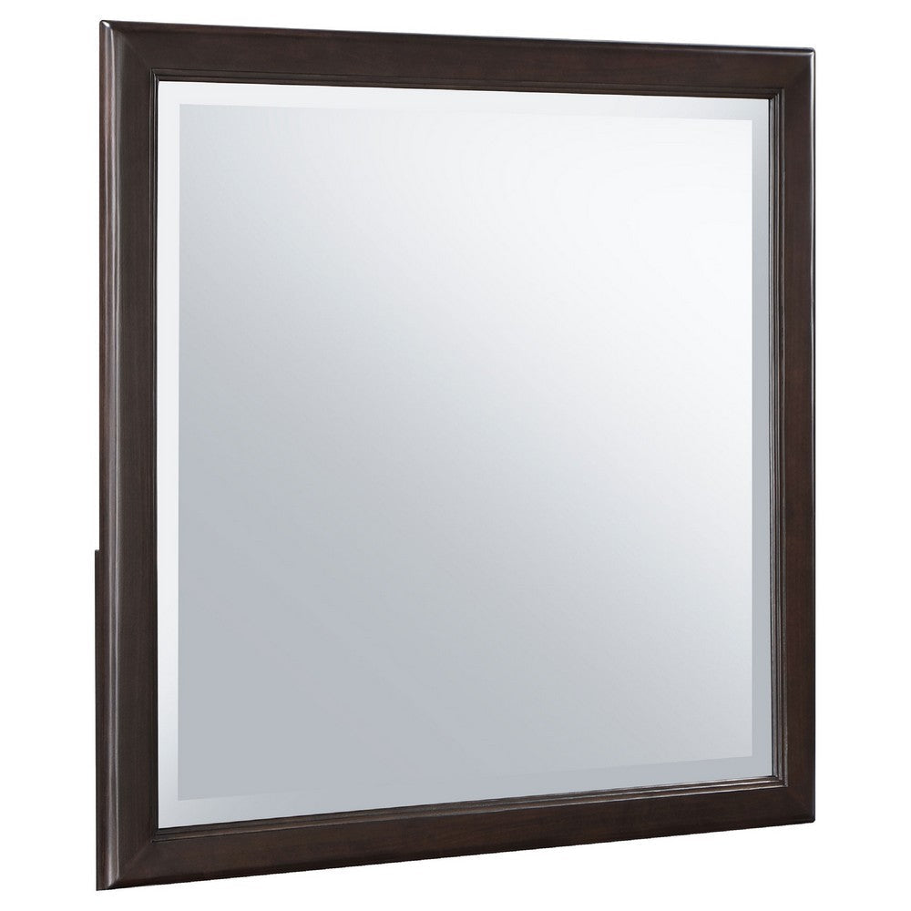 Amber Dresser Mirror | Brown Wood Frame | Beveled Mirror Glass | 38’’ BM337943