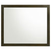 Wlly Dresser Mirror with Wide Frame | 39" Dark Brown Hardwood