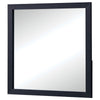 Dex Rectangular Dresser Mirror | Non-Beveled Glass | Black Melamine BM338141