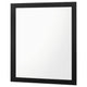 Dle Rectangular Dresser Mirror | Flush Frame | Flat Glass | Black Wood BM338149