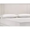 Charie Full Bed w Panel-Style Headboard | Tapered Legs | White Wood BM338426