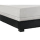 Geny Queen Size Bed w Channel Tufted Headboard | Silver Trim | Black BM338470