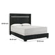 Geny Queen Size Bed w Channel Tufted Headboard | Silver Trim | Black BM338470