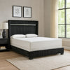 Geny Queen Size Bed w Channel Tufted Headboard | Silver Trim | Black