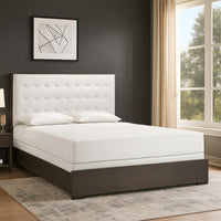 Dark Brown, Cream White