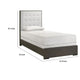 Hez Twin Size Bed | Tufted Cream White Headboard Upholstery | Dark Brown BM338493