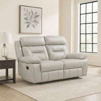 Silver Light Gray