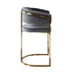 Dely Counter Height Chair | Gray Velvet with Gold Metal Sled Frame BM338830