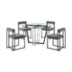 Sanaya Anastasia 5pc Dining Table Set | Glass Top & Black Iron | 4 Gray Chairs