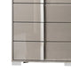 Suni Tall Dresser Chest | Light Taupe Wood with UV Finish | 5 Drawers BM339324