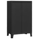 Coy Tall Storage Cabinet | 2 Drawers w 2 Mesh Front Doors | Metal Frame | Black BM339684